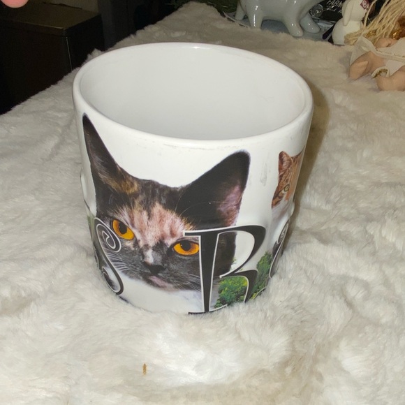 Americaware Cats Rule Feline Assorted Cats Coffee Mug Tea Cup - Picture 2 of 5